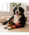 Lysterapi bind til hund eller kat - Infrarød, Batteri
