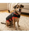 Lysterapi vest til hund eller kat - Infrarød, 10W, med batteri, 52 x 30 cm