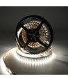 5m 19W/m RGB+CCT LED strip RA93 - 24V DC, 270 LED pr. meter, IP20