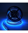 10m 19W/m RGB+CCT LED strip RA93 - 24V DC, 270 LED pr. meter, IP20