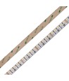 10m 19W/m RGB+CCT LED strip RA93 - 24V DC, 270 LED pr. meter, IP20