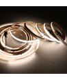 5m RGBWIC COB LED strip - 24V DC, 784 LED 20W/m, IP20