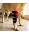 Lysterapi gamache til hunde - til ben & led, rød/infrarød, batteri