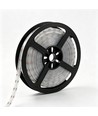 5m 13W/m RGB Dotless COB-LED strip - 24V DC, IP67, 576 LED pr. meter
