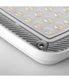30W LED projektør CCT - IP65, 3-i-1 lyskulør, udendørs, arbejdslampe