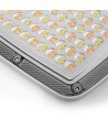 50W LED projektør CCT - IP65, 3 lyskulører, udendørs