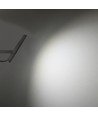 50W LED projektør CCT - IP65, 3 lyskulører, udendørs