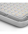 100W LED projektør CCT - IP65, udendørs, arbejdslampe