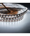 5m 9W/m CCT LED strip RA95 - 24V DC, 400 LED pr. meter, 8mm bred, 2m kabel