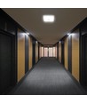 12W LED sensorlampe, CCT - 3 lyskulører, PIR sensor, 6 års garanti, Cree, firkantet, hvid