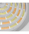 150W LED high bay - CCT, hvid
