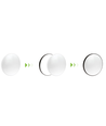 Spectrum 24W LED loftslampe - Ø32cm, Højde: 5,2cm, hvid kant, inkl. sort ring
