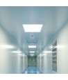 60x60 bagbelyst LED panel, 36W - Hvid kant