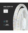 5m 4,8W/m RGB stænktæt LED strip - 12V DC, IP65, 30 LED pr. meter