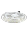 5m 9W/m stænktæt LED strip - 24V DC, IP65, 60 LED pr. meter