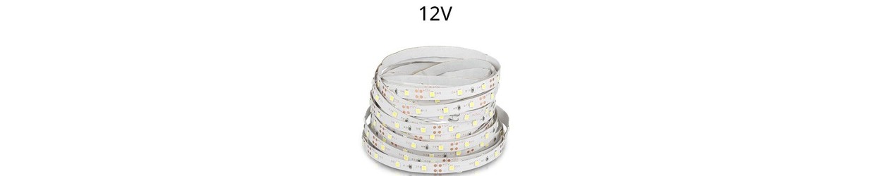 Enkeltfarvet LED strips 12V