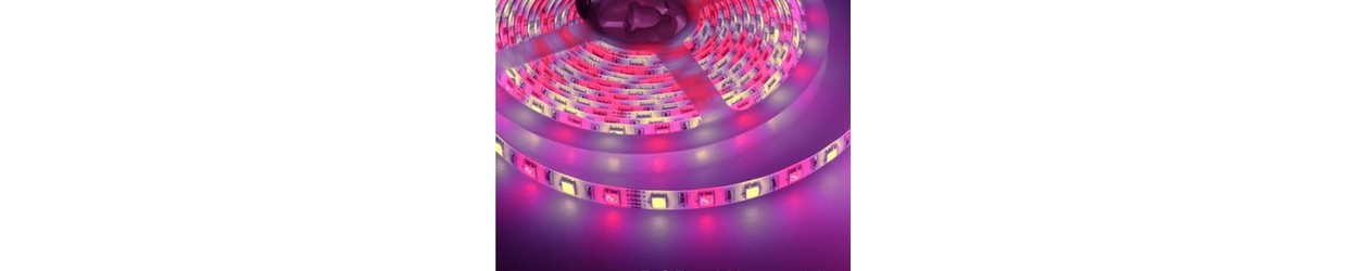 RGB+W LED strips 12V
