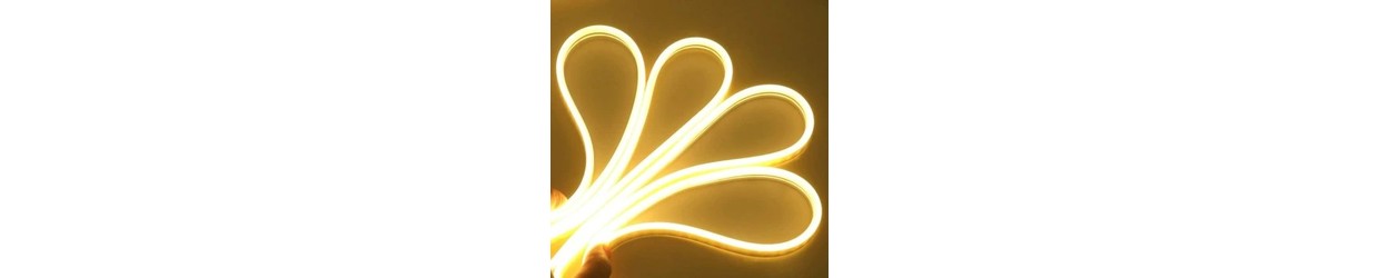 Neon Flex LED strips 12V